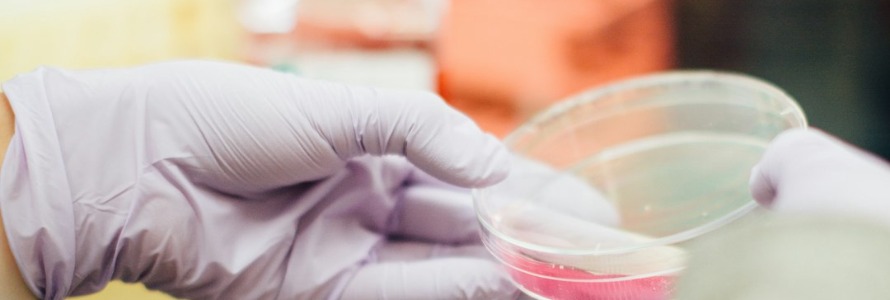 From Lab to Literature: Essential Reads for Science Enthusiasts