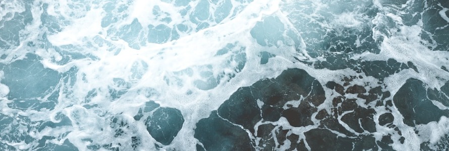 Unveiling the Soul: A Deep Dive into Captivating Memoirs