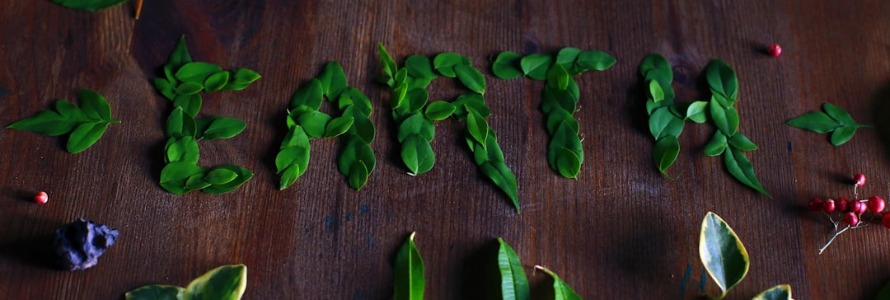 The Earth in Words: A Guide to Environmental Writing