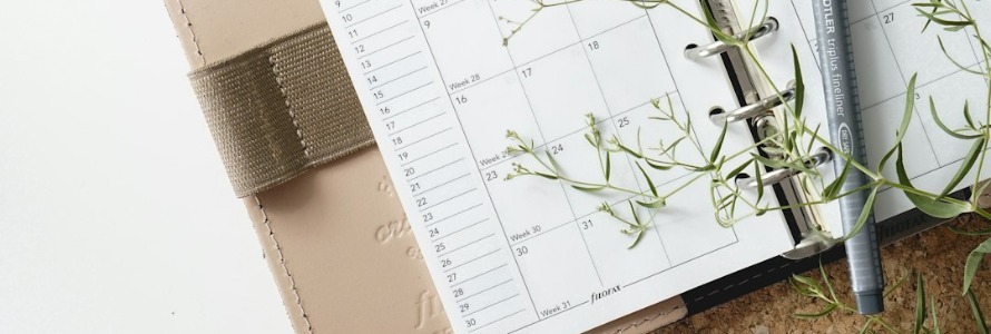 From Procrastination to Productivity: Essential Habit-Building Books