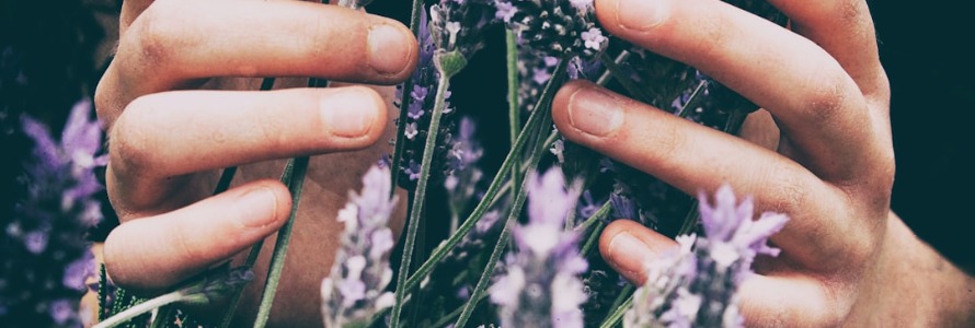 Quiet Your Mind: Essential Reads for Mindfulness & Meditation