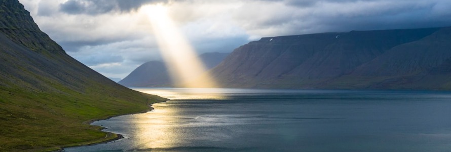 The God Kingdom: The Fifth and Last Kingdom of Life