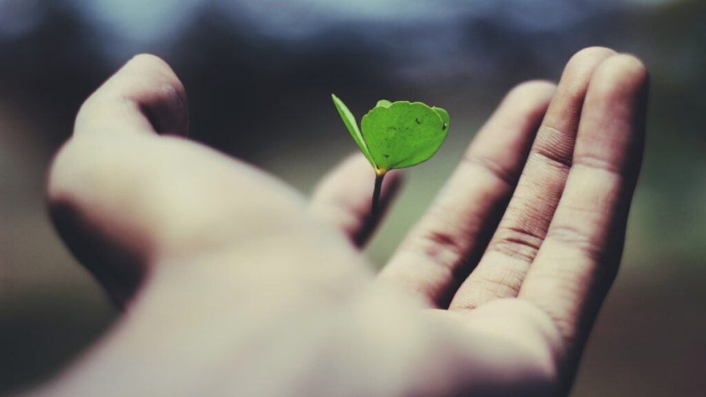 4 Keys to True Knowledge: A Comprehensive Guide to Understanding Life and Its Deepest Truths