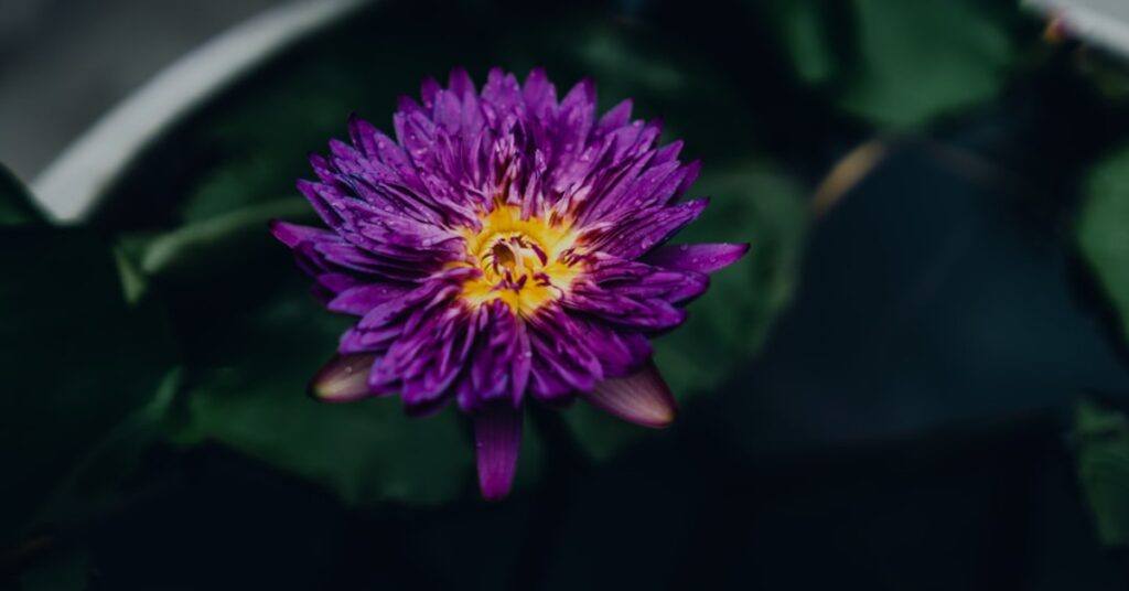 Tech in Bloom: Exciting Tech Innovations to Look Forward to This Spring