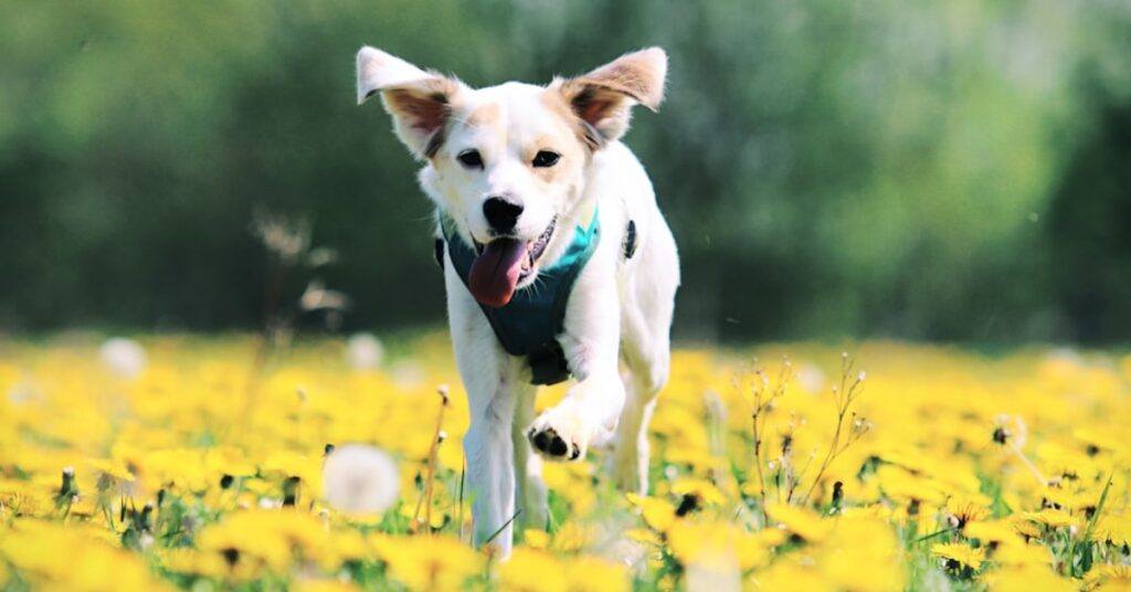 Spring into Action: Refresh Your Digital Marketing Strategy for Spring