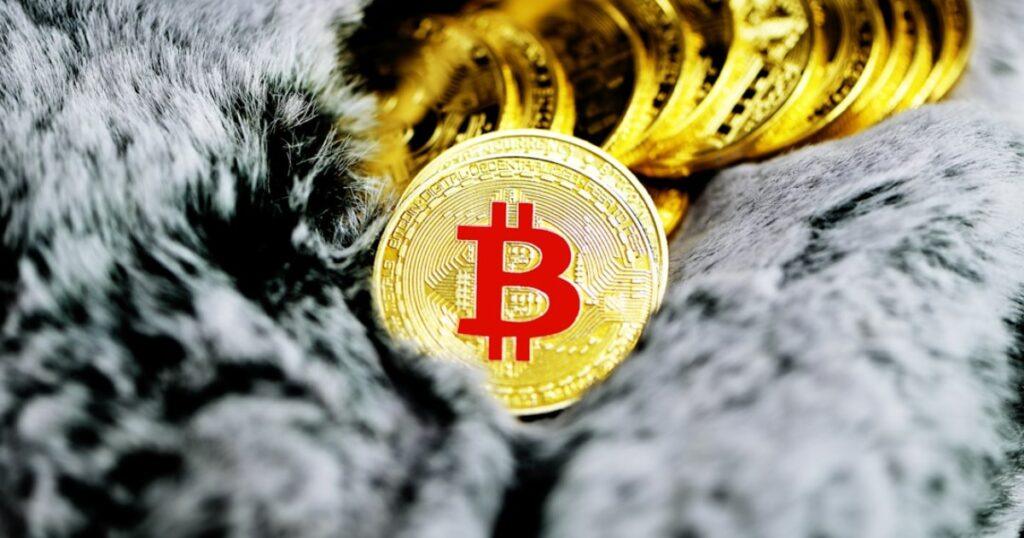 Bitcoin: A Beginner's Guide to Bitcoin