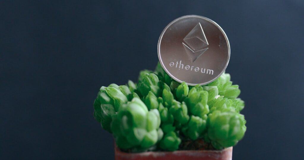 Ethereum: A Beginner's Guide to Ethereum