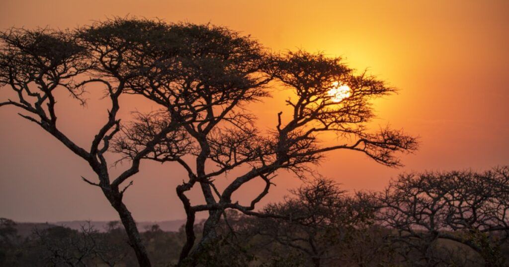 From Survival to Systems: Why Africa Must Learn to Do Things the Right Way
