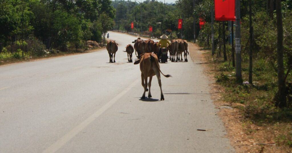 From Juba to Shaanxi: A Journalist’s Journey of Purpose and Peace