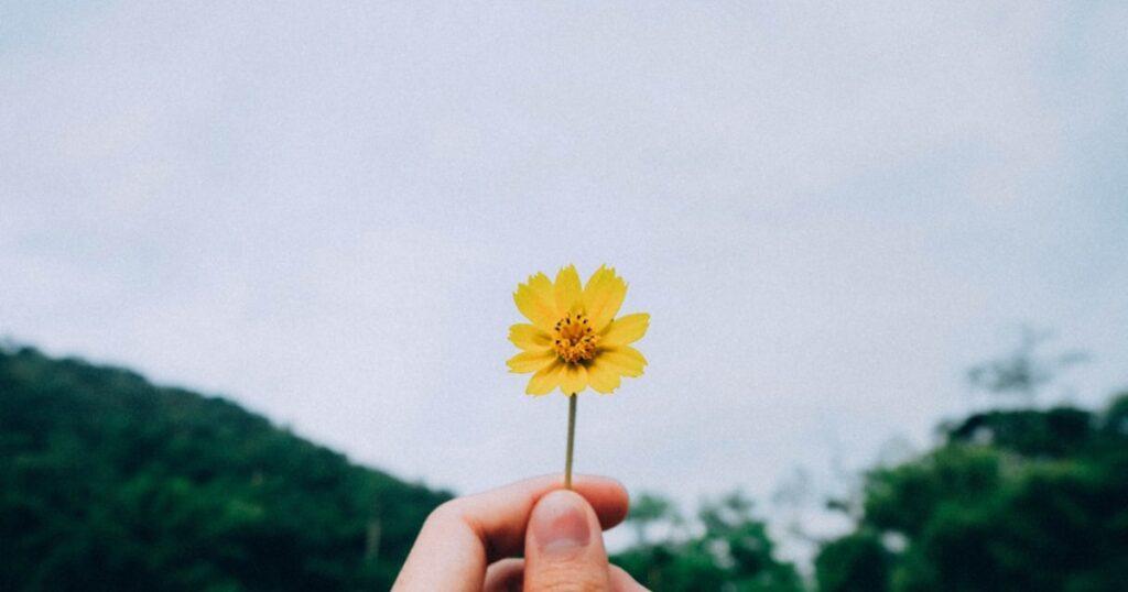 What Is The Meaning Of Life?