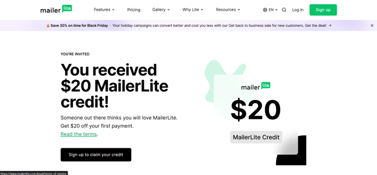 MailerLite Homepage